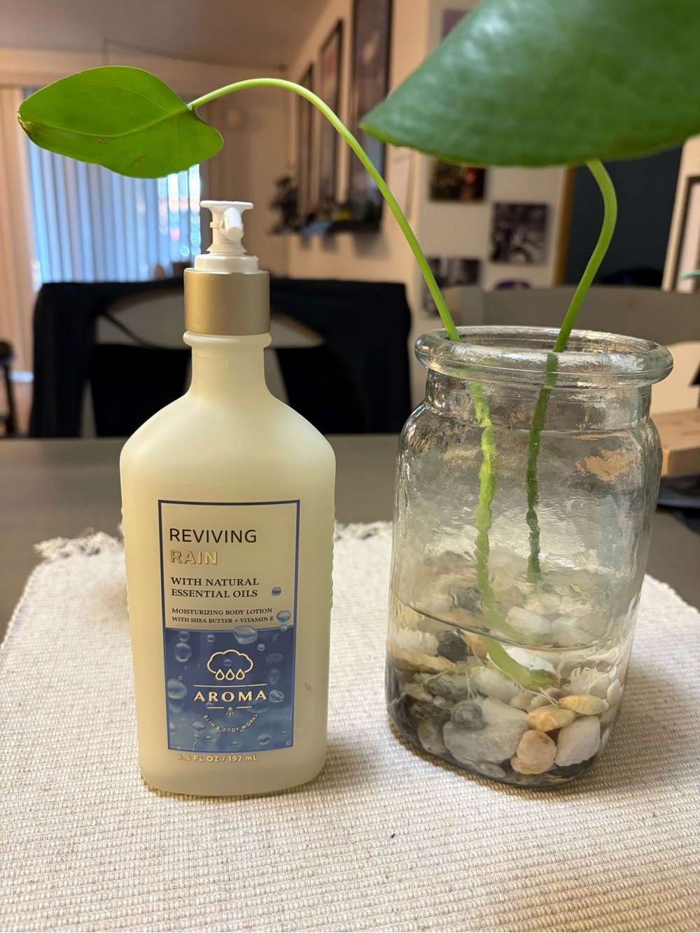 Aroma Reviving Rain Moisturizing Body Lotion - Cream & Blue